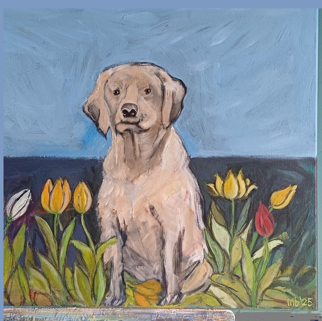 Hund jung